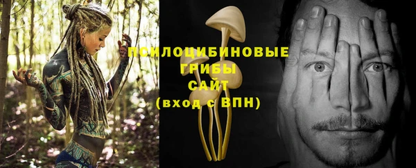 винт Баксан