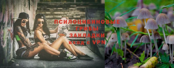 винт Баксан