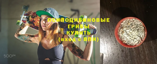 винт Баксан